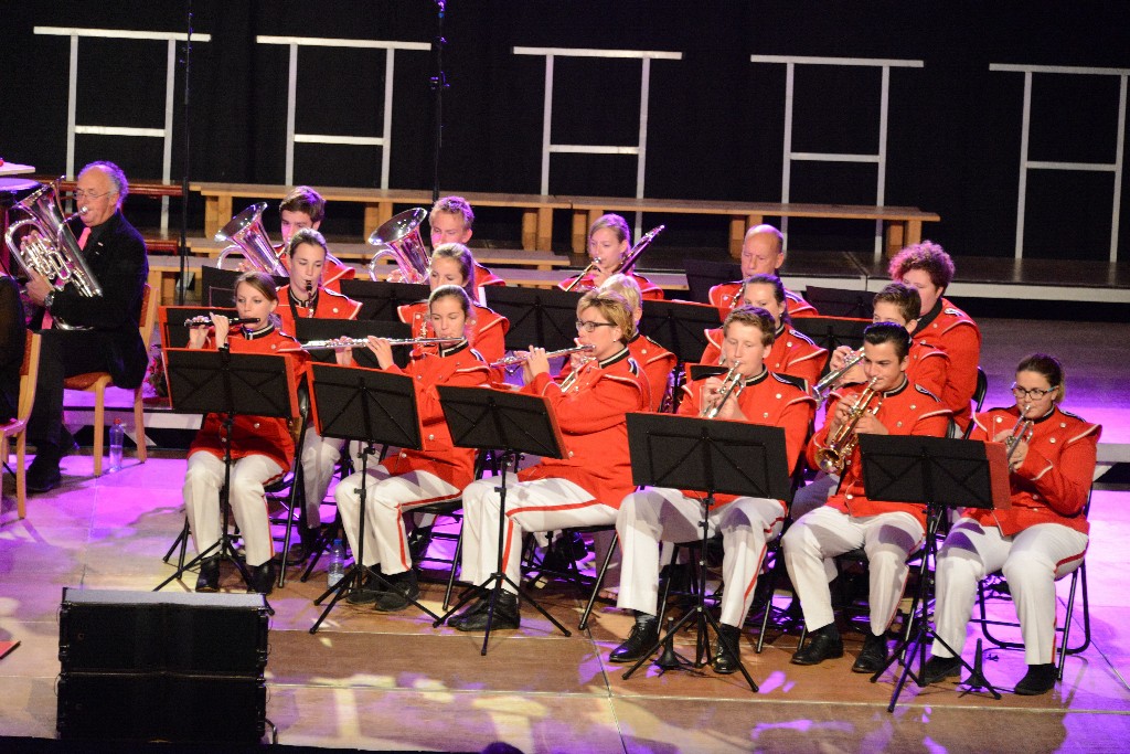 ../Images/Jubileumconcert 100 jaar Harpe Davids 264.jpg